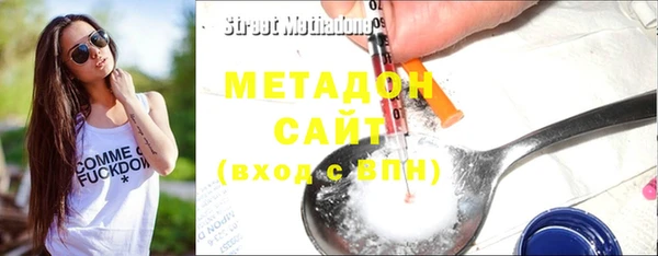 индика Арсеньев