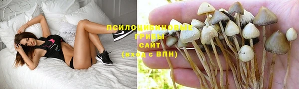 индика Арсеньев