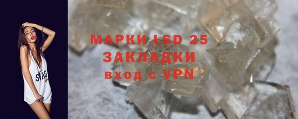 apvp Аркадак