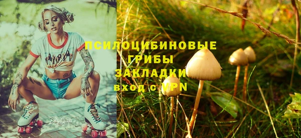 трава Армянск