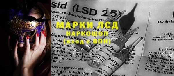 индика Арсеньев
