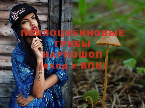 индика Арсеньев