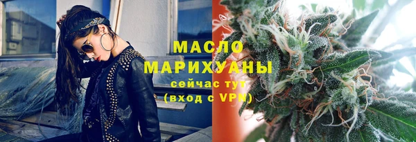 индика Арсеньев