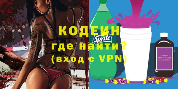 индика Арсеньев