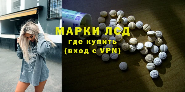 индика Арсеньев
