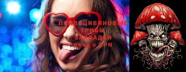 apvp Аркадак