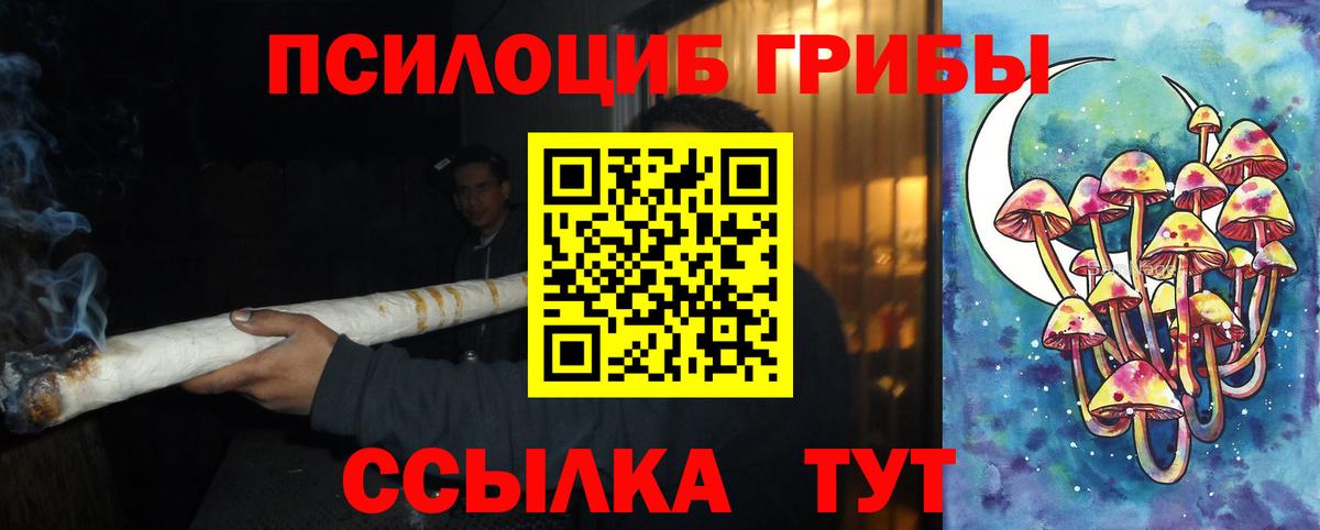 Учалы  Псилоцибиновые грибы Psilocybine cubensis  Вход с VPN 