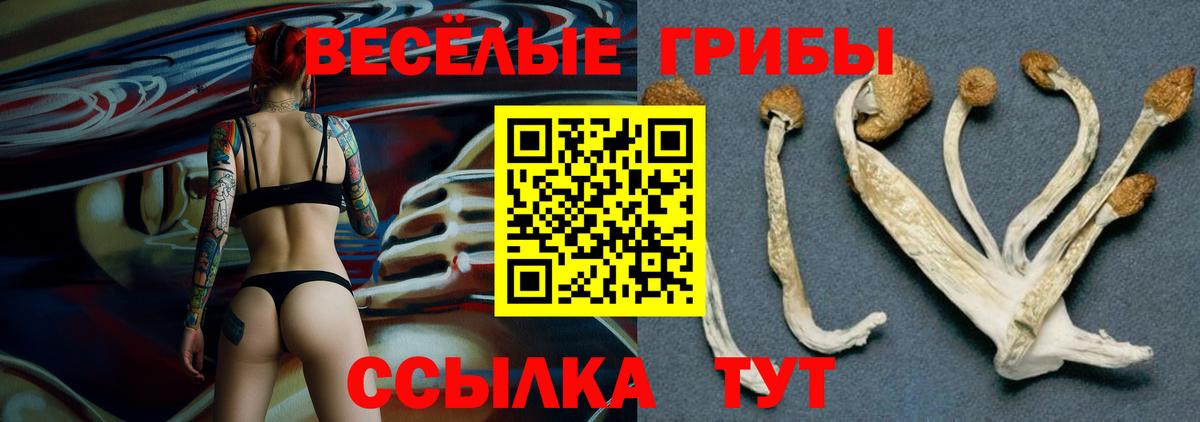 Галлюциногенные грибы мицелий Учалы